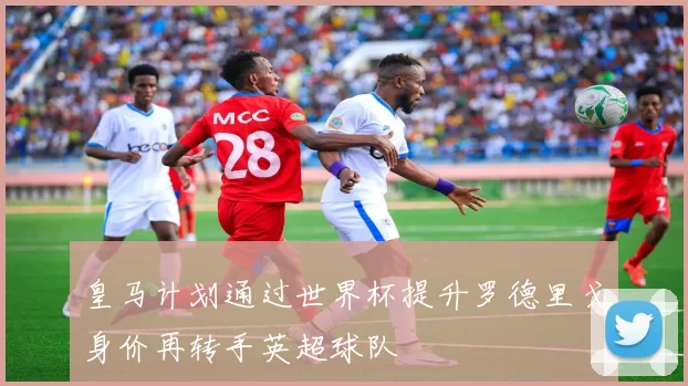 皇马计划通过世界杯提升罗德里戈身价再转手英超球队